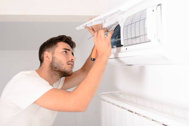 Best Air Duct Mold Removal  in Bear Creek, AL