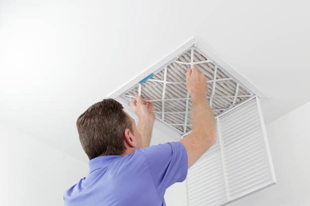 Best Professional Duct Cleaning Services  in Bear Creek, AL